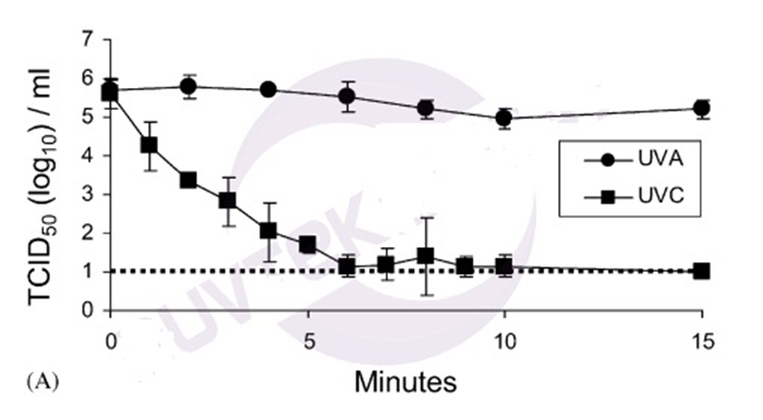 relationship between survival and exposure time of SARS-CoV coronavirus under UVC and UVA irradiation